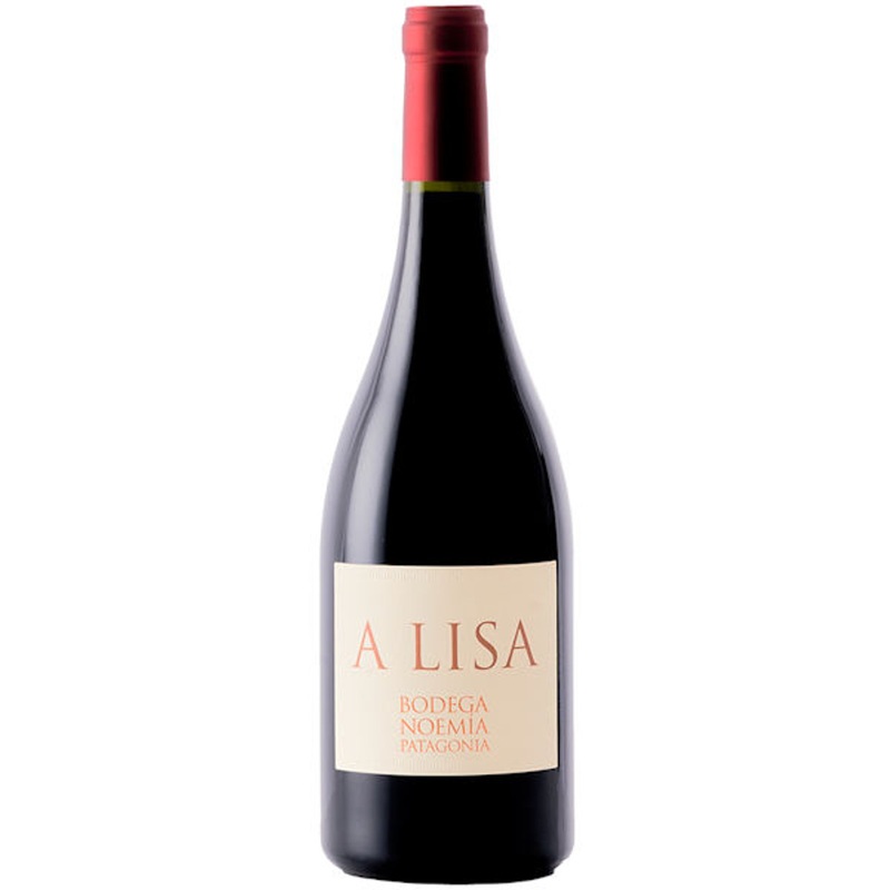 12 Bottle Case Bodega Noemia de Patagonia A Lisa Malbec 2023 w/ Shipping Included