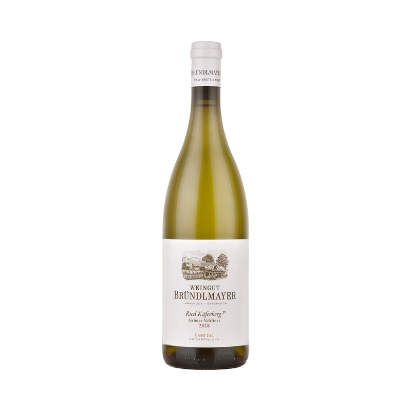 Weingut Brundlmayer Kaferberg Gruner Veltliner (case of 12)