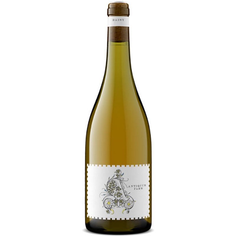 Antiquum Farm Daisy Willamette Pinot Gris Oregon 2024